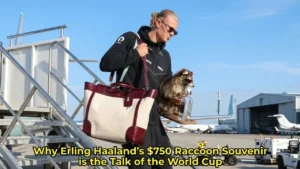 Why Erling Haaland’s $750 Raccoon Souvenir is the Talk of the World Cup